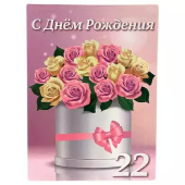 Сувенирный Диплом Именинницы 22 лет AF0000218