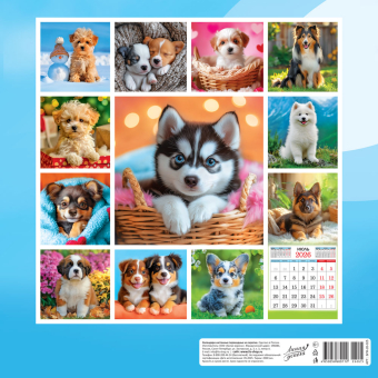 БОЛЬШОЙ перекидной настенный календарь на скрепке на 2026 год "Собаки. Милый друг" БПК-26-025 (без упаковки)