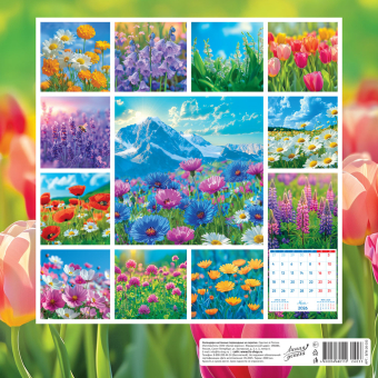 БОЛЬШОЙ перекидной настенный календарь на скрепке на 2026 год "Полевые цветы" БПК-26-033 (без упаковки) БОЛЬШОЙ перекидной настенный календарь на скрепке на 2026 год "Полевые цветы" БПК-26-033 (без упаковки)