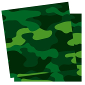 Праздничные бумажные салфетки "Милитари" арт.SE01-AD1018-003P12