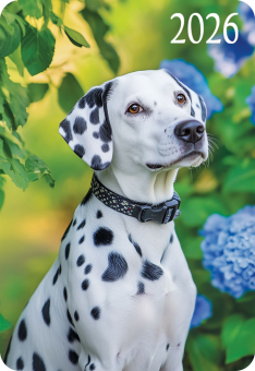 Карманный календарь 2026 "Собаки" КГ-26-354