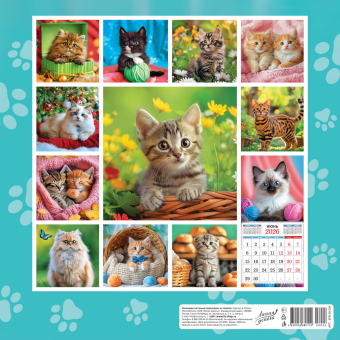 БОЛЬШОЙ перекидной настенный календарь на скрепке на 2026 год "Котята" БПК-26-024 (в упаковке) БОЛЬШОЙ перекидной настенный календарь на скрепке на 2026 год "Котята" БПК-26-024 (в упаковке)