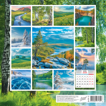 БОЛЬШОЙ перекидной настенный календарь на скрепке на 2026 год "Природа. Берёзки" БПК-26-031 (в упаковке) БОЛЬШОЙ перекидной настенный календарь на скрепке на 2026 год "Природа. Берёзки" БПК-26-031 (в упаковке)