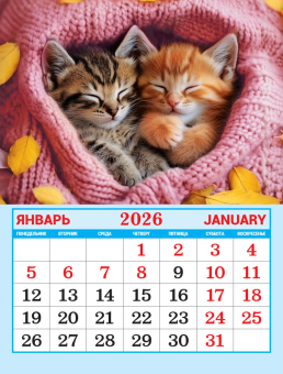 Календарь на магните на 2026 год "Котята" КМО-26-016 (в упаковке)