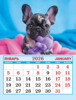 Календарь на магните на 2026 год "Собачки. Милый друг" КМО-26-018 (в упаковке) Календарь на магните на 2026 год "Собачки. Милый друг" КМО-26-018 (в упаковке)