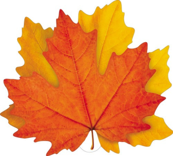 Вырубной плакат "Осенние кленовые листочки" ФМ1-16259