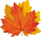 Вырубной плакат "Осенние кленовые листочки" ФМ1-16259