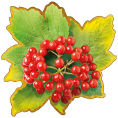 Украшение на скотче "Осенние листья и ягоды" НР-036