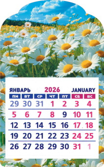 Календарь на магните 2026 "Полевые цветы. Ромашки" КМВ-26-024 (в упаковке)