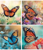 Набор тетрадей в клетку с полями "Бабочки" арт.ТОК48КР-ББ