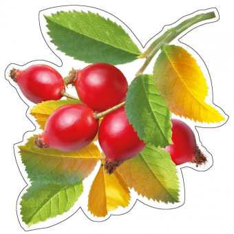 Украшение на скотче "Ягоды" НР-034