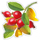 Украшение на скотче "Ягоды" НР-034