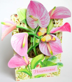 Открытка "Поздравляем" РКВ-229