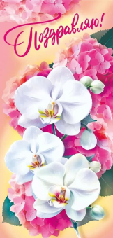 Открытка "Поздравляю!" 018.917