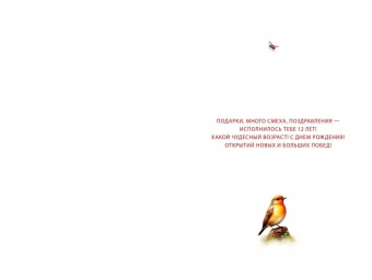 Открытка "С Днём Рождения 12 лет" 7.0000810