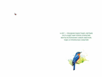 Открытка "С днём рождения 14 лет" 7.0000812