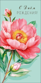 Конверт для денег "С Днём Рождения" 0321.784